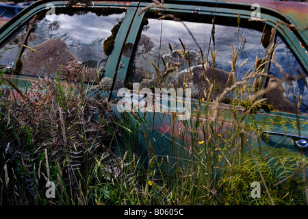 Arrugginimento auto, ricoperta da erba e piante infestanti Foto Stock