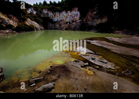 Un verde piscina geotermica al Wai O Tapu sacre acque, Lago Ngakoro Foto Stock