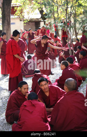 I monaci in formazione pratica domande e risposte al Monastero di Sera a Lhasa, in Tibet. Foto Stock