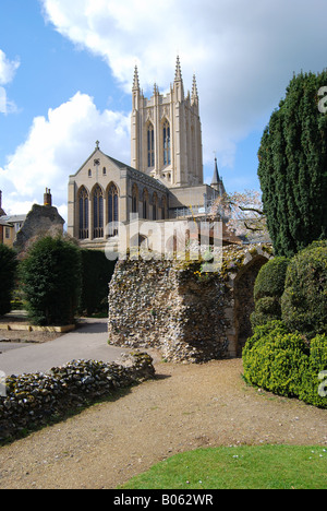 St Edmundsbury Cathedral da Abbey Gardens, Bury St Edmunds, Suffolk, Inghilterra, Regno Unito Foto Stock