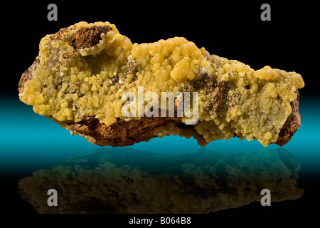 Mimetite Ojuela Mapimi Miniera di Durango in Messico Foto Stock