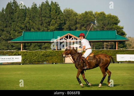 Giocatore di Polo montato sul polo di cavalli sul campo in Sotogrande, Andalusia, Spagna Foto Stock