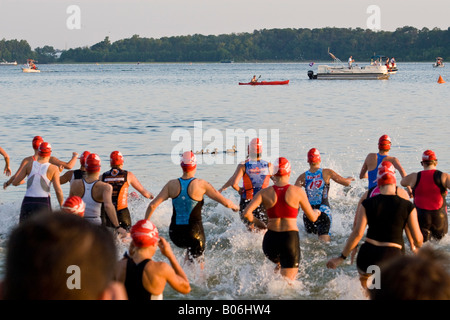 Triathlon femmina nuotatori e una famiglia di anatre a partire Swim porzione di gara presso il Disney Ironman in Orlando Florida Foto Stock