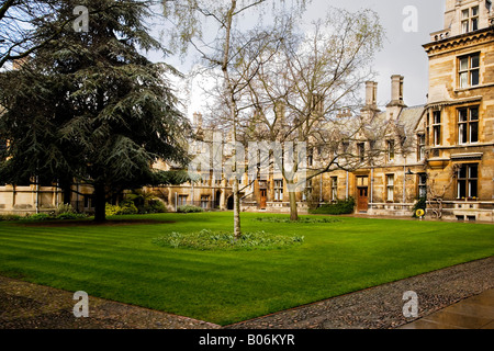 Parte del Quad noto come il Tree Court a Gonville e Caius College, Università di Cambridge, Cambridge, Inghilterra, Regno Unito Foto Stock