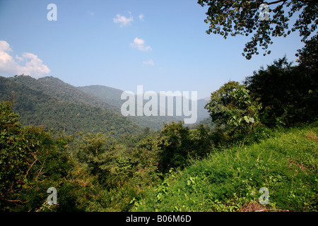 Colline nilgiri,l'india Foto Stock