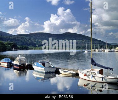 IE - CO.CLARE: Fiume Shannon a Killaloe Foto Stock