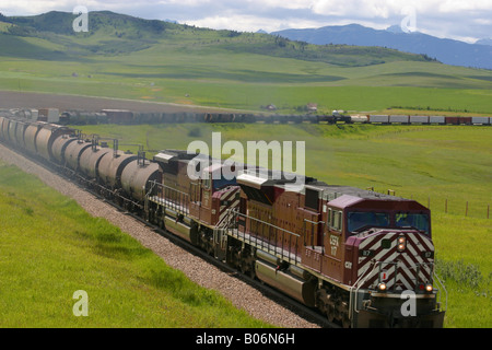 Treno su una ferrovia via, Canadian National Railway, Alberta, Canada Foto Stock