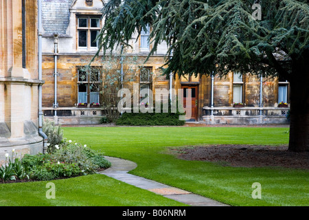 Parte del Quad noto come il Tree Court a Gonville e Caius College, Università di Cambridge, Cambridge, Inghilterra, Regno Unito Foto Stock