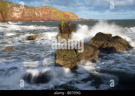 Scozia Scottish Borders St Abbs tempeste invernali crea un rigonfiamento enorme nel Mare del Nord vicino a St Abbs Foto Stock