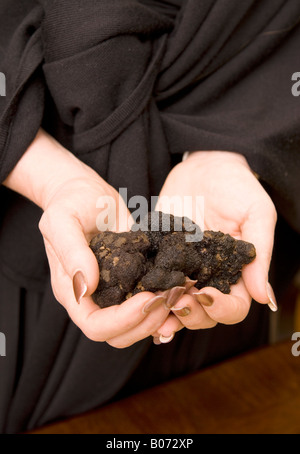 Primo piano delle mani caucasica Holding Black Diamond tartufi francese USA Foto Stock