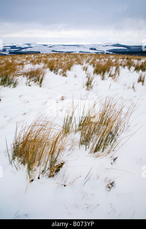 Scozia Scottish Borders Carter Bar neve sulla terra alta vicino a Carter Bar sul bordo in inglese Foto Stock
