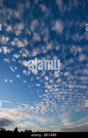 Cirrus nuvole contro un cielo blu scuro Foto Stock