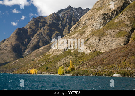 Thomson montagne e lago Wakatipu vicino a Queenstown, Nuova Zelanda Foto Stock