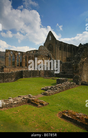 Tintern Abbey rovine Monmouthshire Wales UK Foto Stock