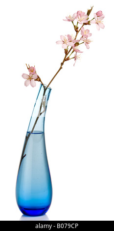 Rosa fiori di ciliegio in vaso blu Foto Stock
