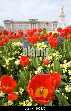 Pic da Paolo Grover Pic mostra Buckingham Palace e il Queen Victoria Monumento a Londra Foto Stock