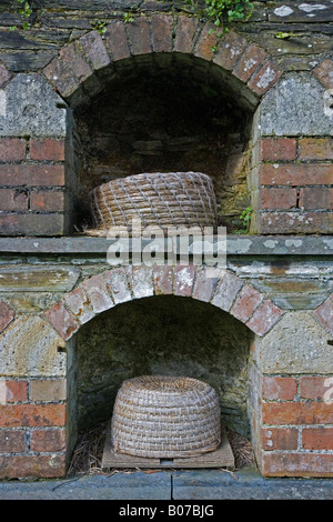 Bee boles in Lost Gardens of Heligan Cornovaglia Foto Stock