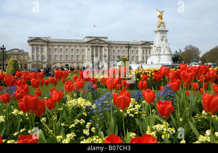 Pic da Paolo Grover Pic mostra Buckingham Palace e il Queen Victoria Monumento a Londra Foto Stock