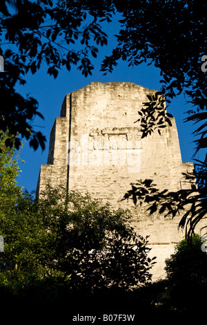 Guatemala, El Petén, Tikal, Tempio 111 Foto Stock