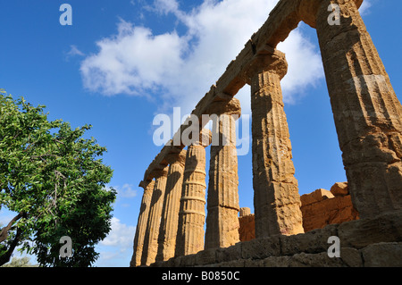 Tempio di Juno Lacinia / Tempio di Hera, Valle dei Templi, Agrigento, Sicilia, Italia Foto Stock