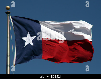 Un Texas bandiera sbattimenti coraggiosamente nel vento Foto Stock