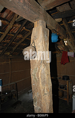 Un cesto di pesci impiccati al pilastro di legno. Warli tribe, Thane, Maharashtra, India Foto Stock