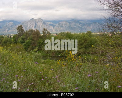 Vista del Monte Taigetos dalle rive del fiume Eurotas accanto a Sparta, Laconia provincia, Peloponneso, Grecia Foto Stock