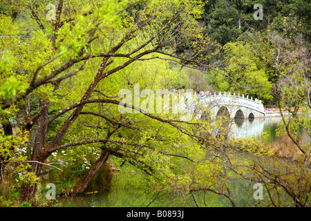 Antico ponte in pietra su un lago, tra gli alberi di salice, a Lijiang il Drago Nero parco piscina. Foto Stock