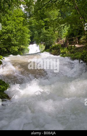 Cascata della Marmora, Umbria. La sua altezza totale è di 165 m (541 piedi), il che lo rende uno dei più alti in Europa e il più alto man-made cascata nel mondo. Delle sue 3 sezioni, quello superiore è il più alto in 83 m (272 piedi). La generazione di potenza cascata che viene deviato per effetto turistico in determinate ore del giorno. La maggior parte del tempo, l'acqua nei canali sopra le cascate è deviato verso una centrale idroelettrica, in modo che il flusso delle cascate stesse è ridotto al livello di un torrente. Il lago di Piediluco, sopra le cascate, è utilizzato come serbatoio per l'impianto di alimentazione. Il Galleto Power Plant, BU Foto Stock