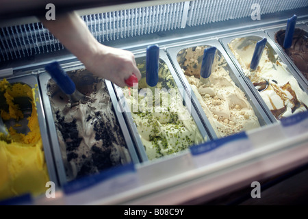 Selezione di freschi italiano gelati gelati. Foto Stock