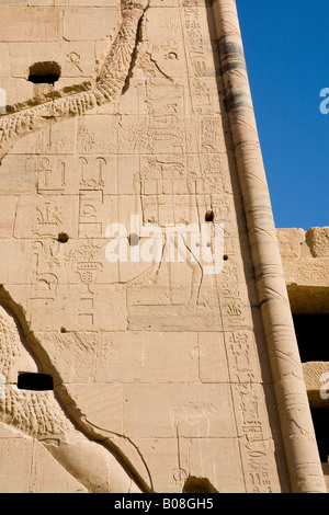 Rilievo scolpite sul pilone del Tempio di Iside a Philae, Aglika Island Aswan Egitto Foto Stock