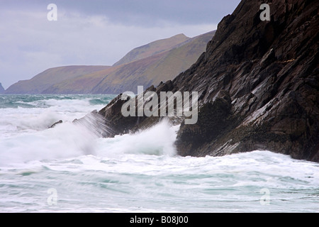 Mare mosso e nebbia a Slea testa sulla penisola di Dingle Co Kerry Foto Stock