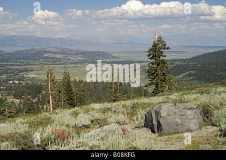 Vista su Mammoth Lakes caldera Foto Stock