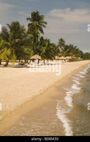 Palapas con tetto in paglia, palme e sedie a sdraio sulla spiaggia, Jaguar Reef Lodge, Hopkins, Stann Creek District, Belize Foto Stock