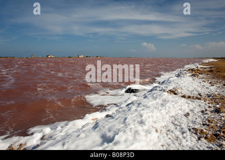 Salina de Cumaraguas, distesa di sale, sale evaporazione lungo la costa caraibica, penisola di Paraguaná, Falcón, Venezuela, Sud Amer Foto Stock