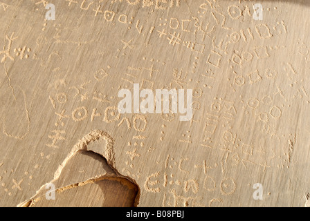 Il Tuareg script (Tifinagh) su pietra, incisioni rupestri, Youf Ahakit, Tassili du Hoggar, Wilaya Tamanrasset, Algeria, Nord Africa Foto Stock