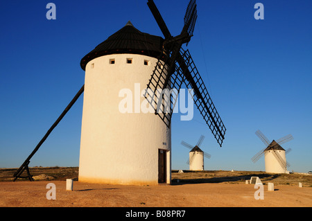 Mulini a vento nella luce del pomeriggio, Campo de Criptana, Castilla-La Mancha regione, Spagna Foto Stock