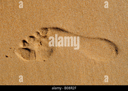 Ingombro con la sabbia, il piede destro, sulla spiaggia di Benidorm, Costa Blanca, Spagna Foto Stock