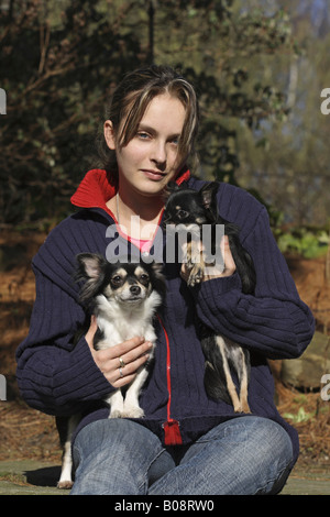 Chihuahua (Canis lupus f. familiaris), giovane donna seduta outdorrs e tenendo una lunga heired Chihuahua e una miniatura Chihuah Foto Stock