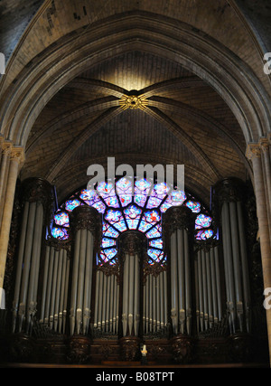 Vista interna, organo e vetrata rosone, Notre Dame de Paris, Parigi, Francia Foto Stock