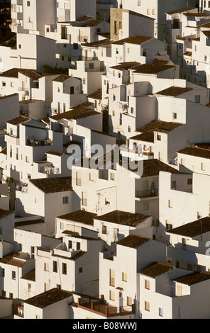 Edifici bianchi di Casares, provincia di Malaga, Andalusia, Spagna Foto Stock