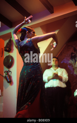 La ballerina di flamenco, Tablao Los Gallos, Siviglia, Andalusia, Spagna Foto Stock