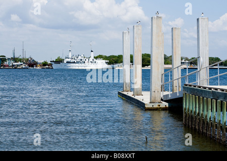 Piliings concrete sul molo con i gabbiani arroccato in cima , una passerella metallica , e un elevato dock con barca in background Foto Stock