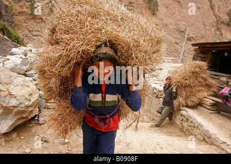 Bambino trasporta paglia sulla sua schiena vicino a Tatopani, Nepal, Asia Foto Stock