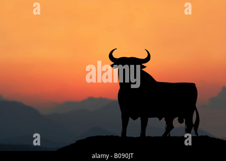 Bull di Andalusia al tramonto, Siviglia, Andalusia, Spagna Foto Stock