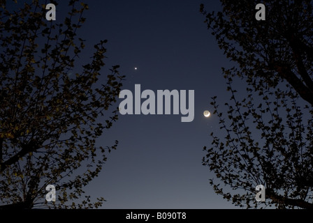 La luna e Venere nel cielo di sera su un gruppo di alberi, Germania, Baden-Baden Foto Stock