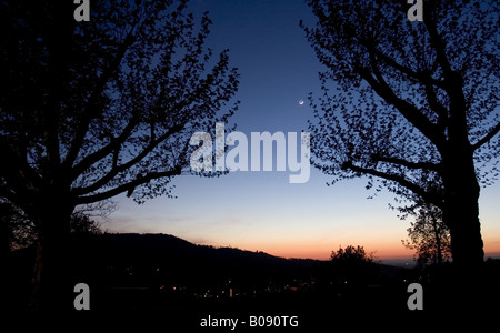 La luna e Venere nel cielo di sera su un gruppo di alberi, Germania, Baden-Baden Foto Stock