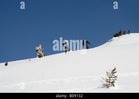 Gli alpinisti su sci alpinismo una coperta di neve picco dell'alta regione alpina in Rofan, Tirolo, Austria, Europa Foto Stock