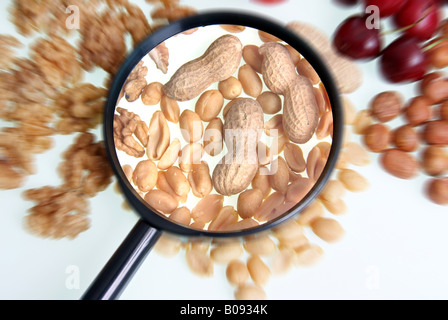 I dadi sotto la lente di ingrandimento Foto Stock