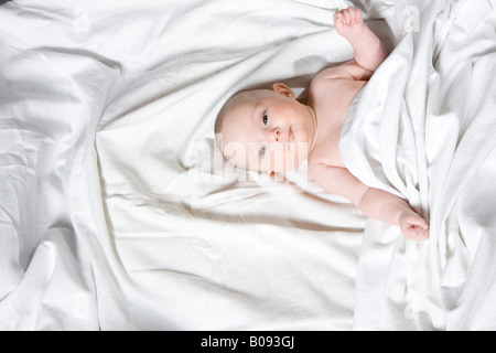 Quattro-mese-vecchio bambino avvolto in una coperta Foto Stock